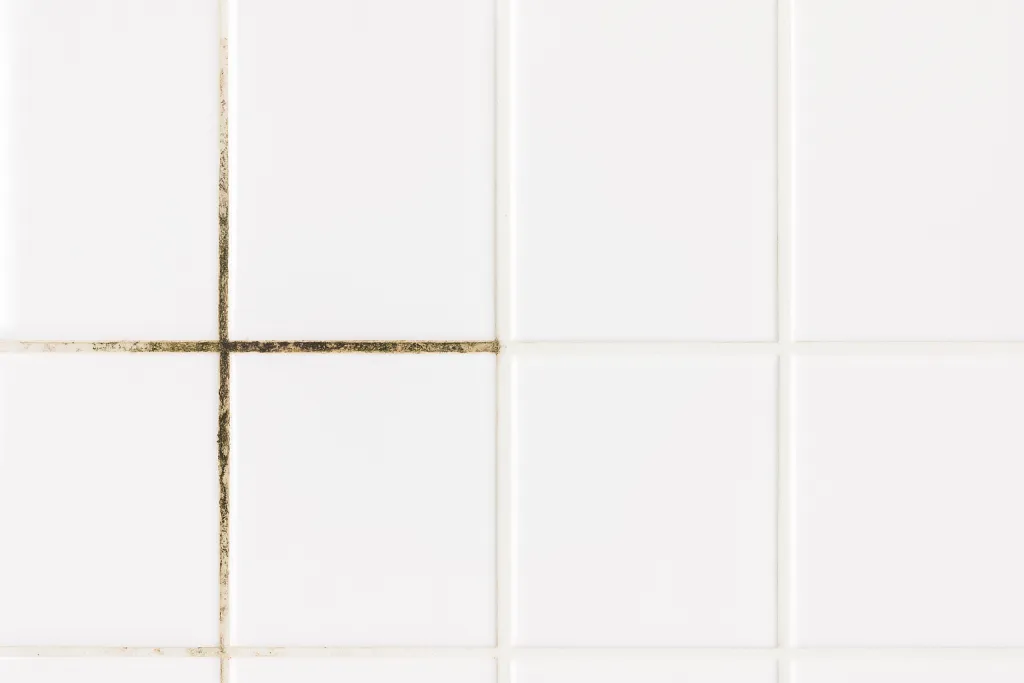 20250825_1654_Плитка с плесневыми швами_remix_01k3gqz4ywegqrsjg5sdey6kyb.png 20250825_1654_Плитка с плесневыми швами_remix_01k3gqz4ywegqrsjg5sdey6kyb.png