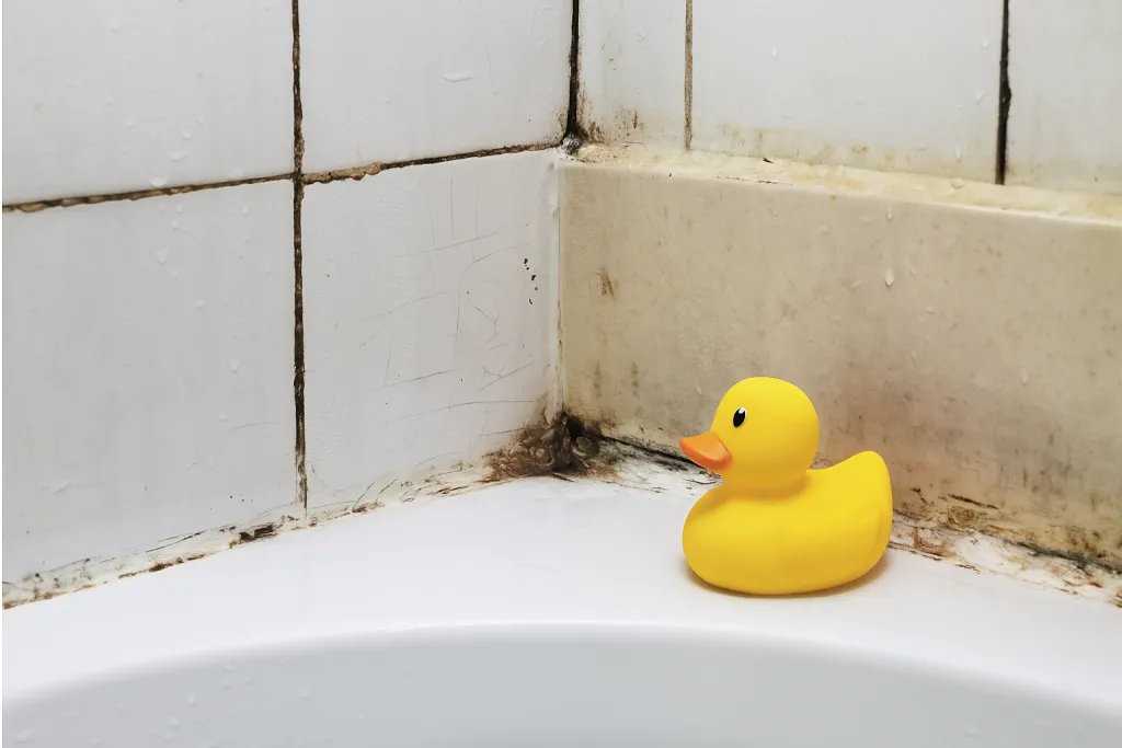 20251023_0859_Одинокая жёлтая уточка_remix_01k87t9gh0ersagxww66y368s5 (1).png 20251023_0859_Одинокая жёлтая уточка_remix_01k87t9gh0ersagxww66y368s5 (1).png