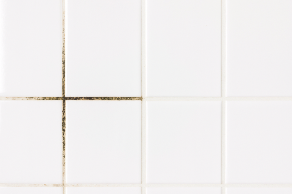 20250825_1654_Плитка с плесневыми швами_remix_01k3gqz4ywegqrsjg5sdey6kyb.png