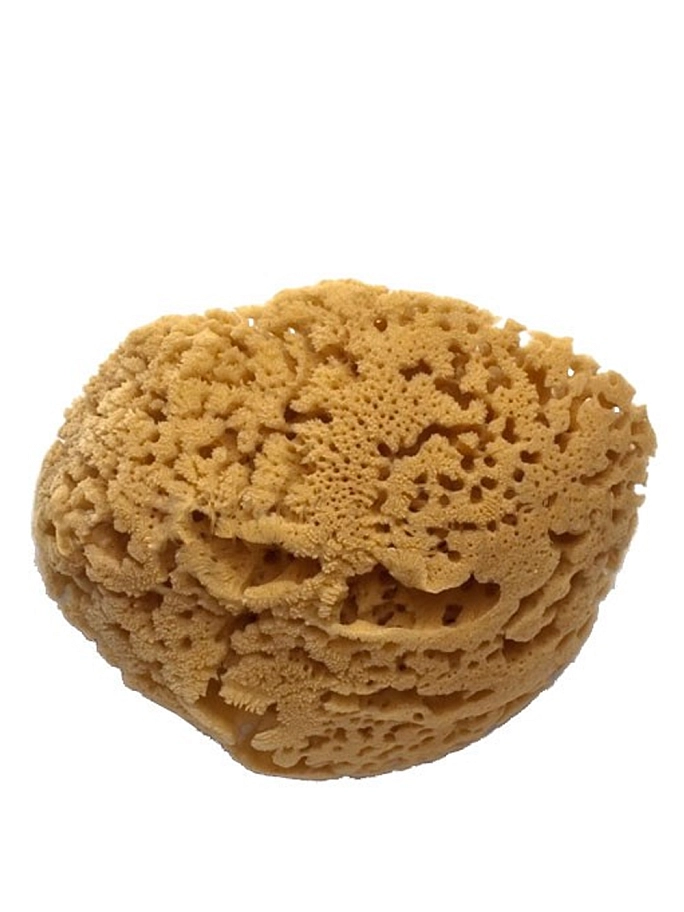 Губка морская натуральная PAVAN 160 мм